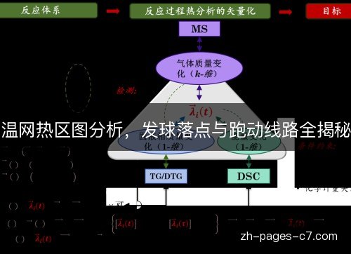 温网热区图分析，发球落点与跑动线路全揭秘
